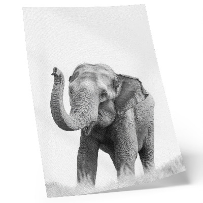 Poster Elefante monocromatico con la proboscide alzata