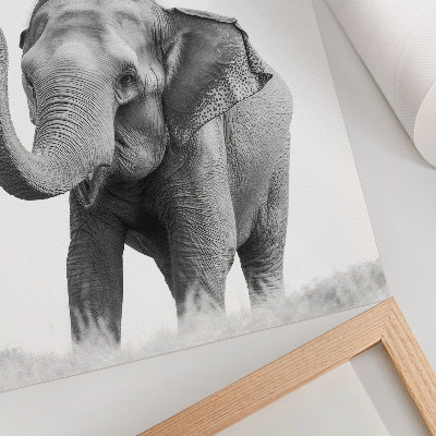 Poster Elefante monocromatico con la proboscide alzata