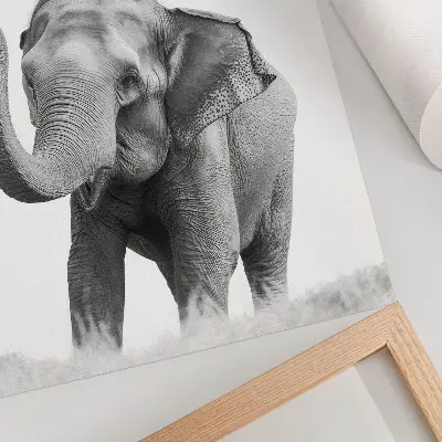 Poster elefante monocromatico con proboscide alzata
