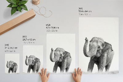 Poster Elefante monocromatico con la proboscide alzata