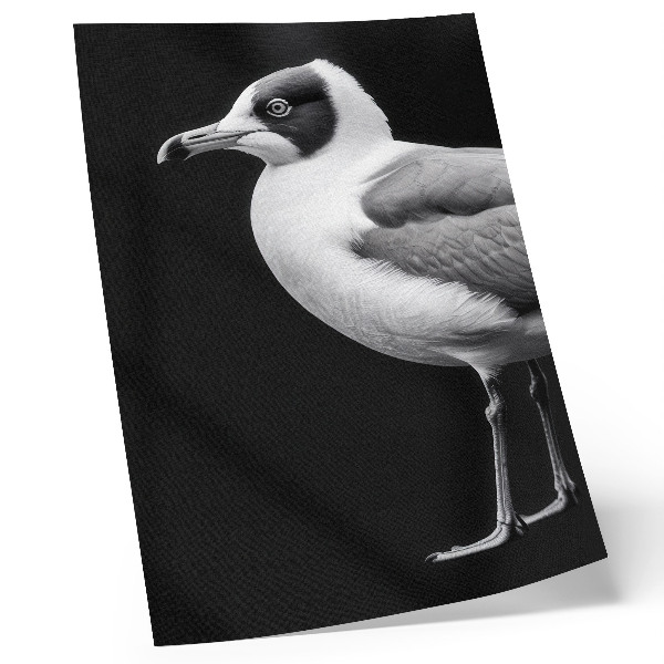 Foto su tela Uccello in contrasto bianco e nero in stile minimalista