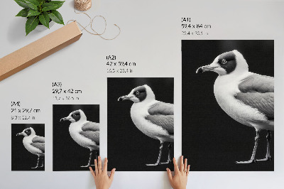 Foto su tela Uccello in contrasto bianco e nero in stile minimalista