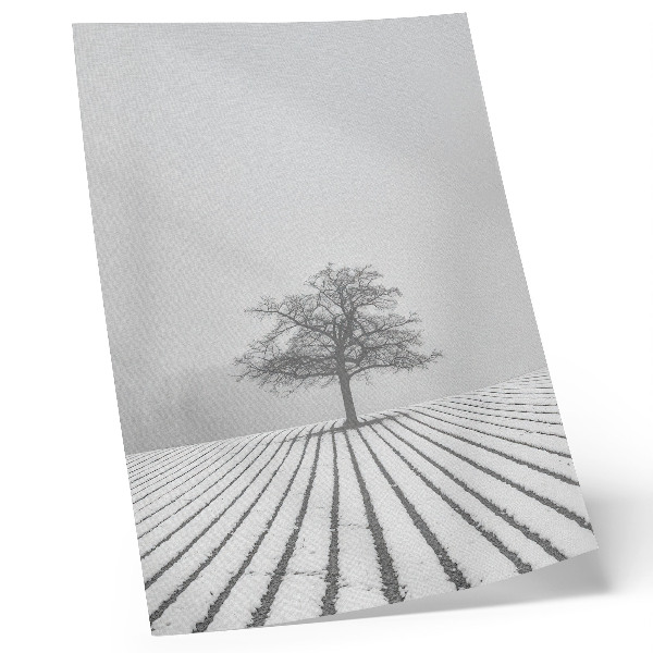Poster Albero nella neve, paesaggio invernale, minimalismo