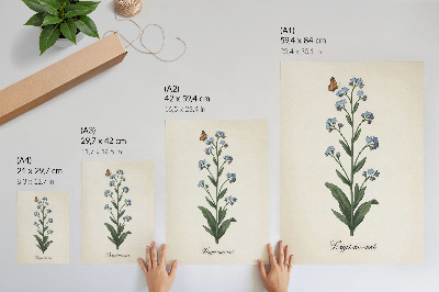 Stampa su tela Nontiscordardimé e una farfalla su sfondo color crema