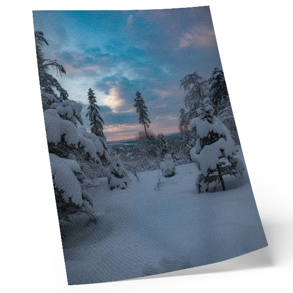 Stampa su tela Alberi innevati, paesaggio pittoresco, cielo