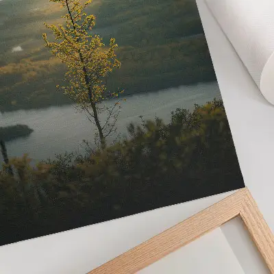 Foto su tela una valle tranquilla con un albero al centro