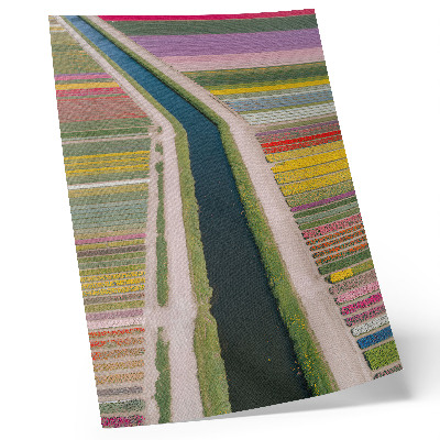 Poster Strisce colorate di fiori lungo il canale