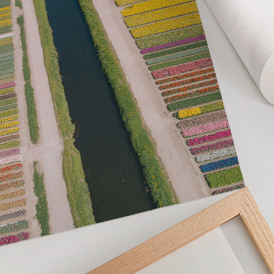 Poster Strisce colorate di fiori lungo il canale