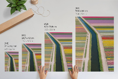 Poster Strisce colorate di fiori lungo il canale