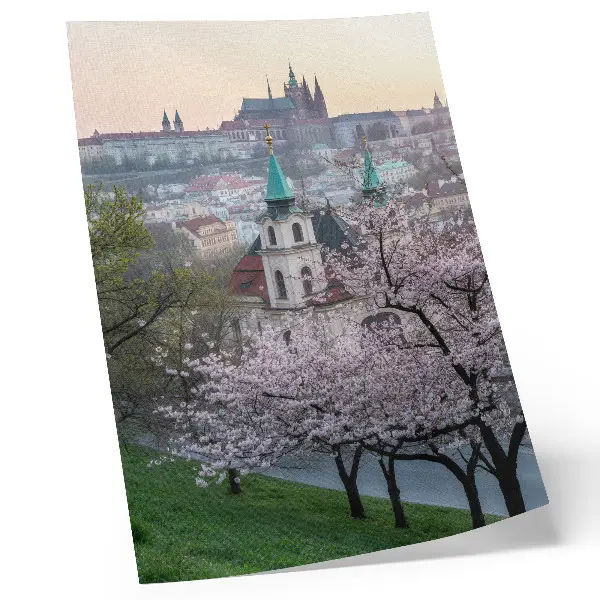 Foto su tela città in primavera con alberi in fiore e campanili