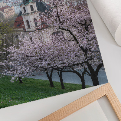 Foto su tela In primavera la città è piena di alberi in fiore e campanili.