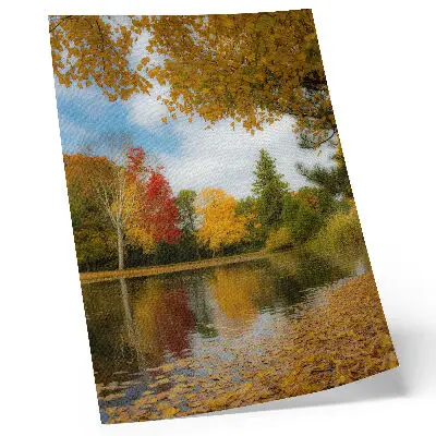 Poster alberi colorati in riva al lago con atmosfera autunnale