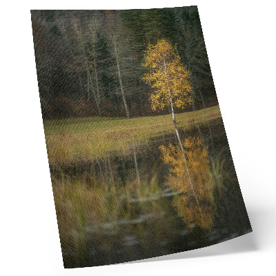 Poster Un albero dorato sullo sfondo di una foresta scura e di un lago.