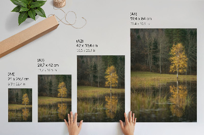 Poster Un albero dorato sullo sfondo di una foresta scura e di un lago.