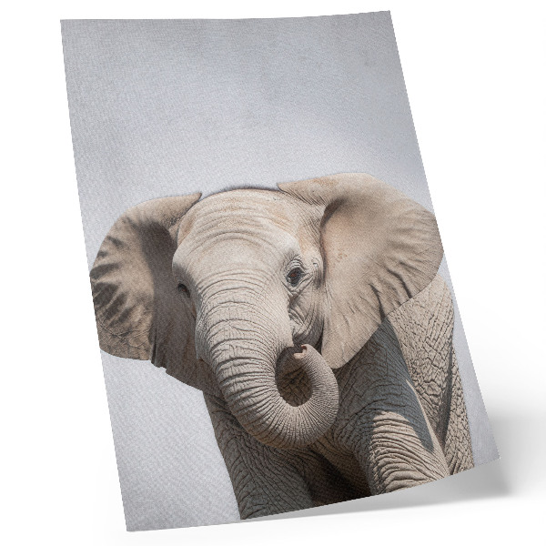 Poster Un giovane elefante su uno sfondo chiaro