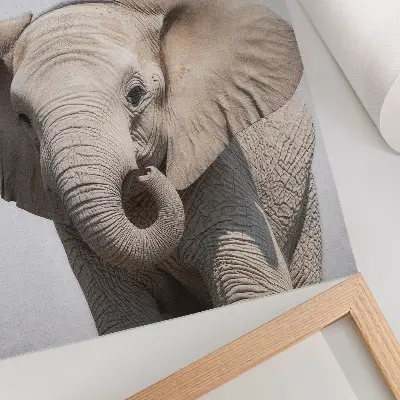 Poster giovane elefante su sfondo chiaro