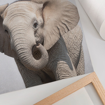 Poster Un giovane elefante su uno sfondo chiaro