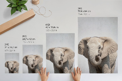 Poster Un giovane elefante su uno sfondo chiaro
