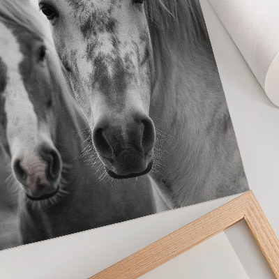 Stampa su tela Cavalli in uno scatto monocromatico pieno di eleganza