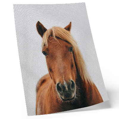 Foto su tela Ritratto di cavallo, minimalismo, bellezza naturale, eleganza