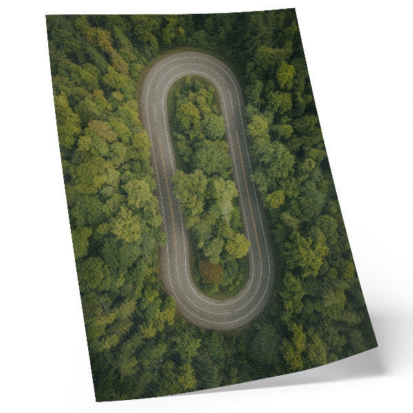 Foto su tela Una strada stretta e tortuosa che attraversa la verde foresta.