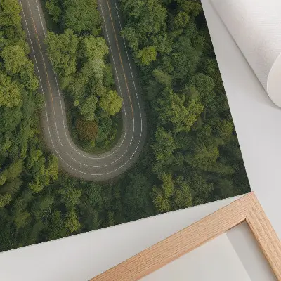 Foto su tela una strada stretta e tortuosa che attraversa la foresta verde