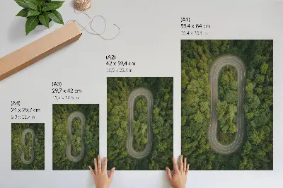 Foto su tela una strada stretta e tortuosa che attraversa la foresta verde
