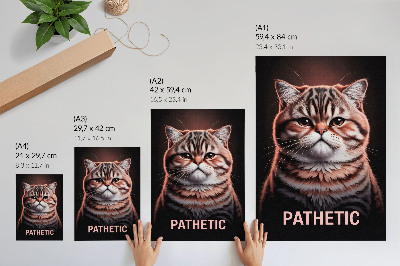 Poster Ritratto di un gatto dal pelo particolare e dallo sguardo profondo