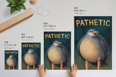 Poster Uccello buffo dai colori insoliti su sfondo turchese