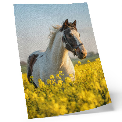 Stampa su tela Un elegante cavallo in un campo primaverile pieno di fiori
