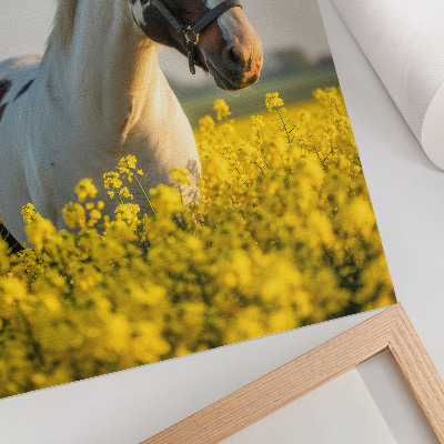Stampa su tela Un elegante cavallo in un campo primaverile pieno di fiori