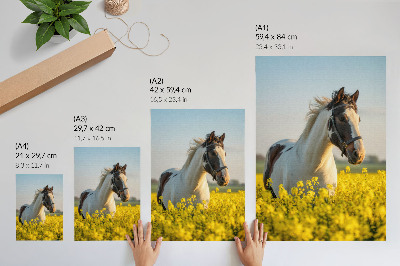 Stampa su tela Un elegante cavallo in un campo primaverile pieno di fiori