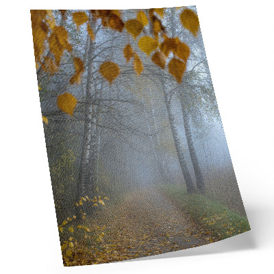 Foto su tela Foresta autunnale nebbiosa, betulle e foglie gialle