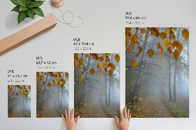 Foto su tela Foresta autunnale nebbiosa, betulle e foglie gialle