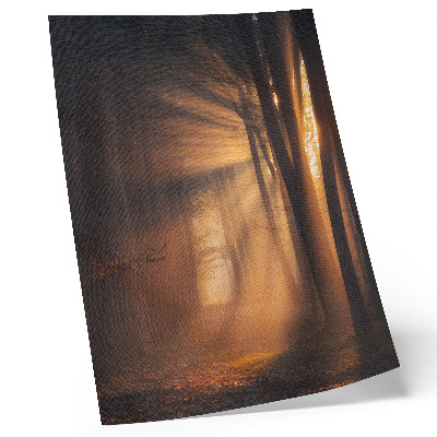 Poster Luce magica, foresta, alberi, raggi di sole, pace