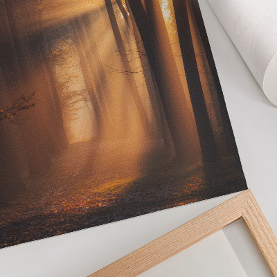 Poster Luce magica, foresta, alberi, raggi di sole, pace