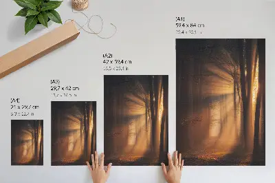 Poster luce magica in una foresta con alberi e raggi di sole