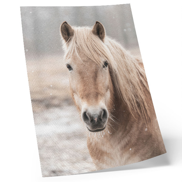 Poster Cavallo inverno colori tenui pace natura