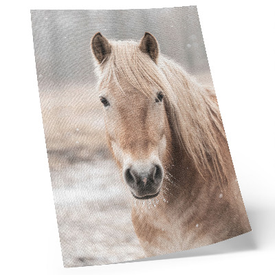 Poster Cavallo inverno colori tenui pace natura