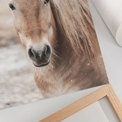 Poster Cavallo inverno colori tenui pace natura