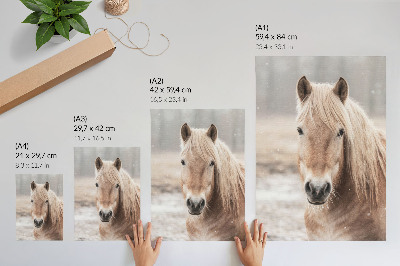 Poster Cavallo inverno colori tenui pace natura