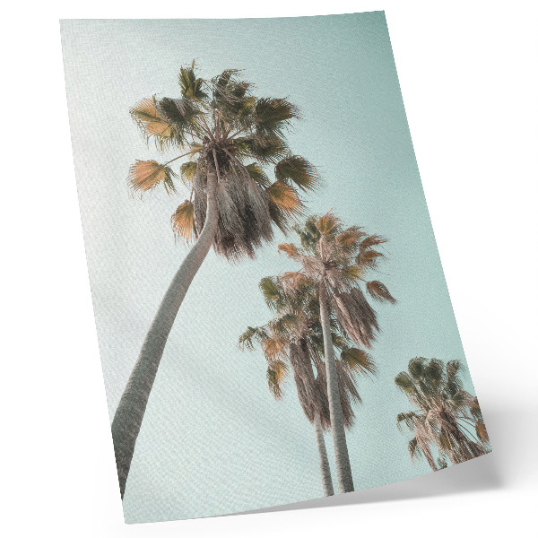 Foto su tela Palme delicate cielo blu esotico