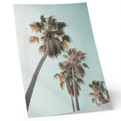 Foto su tela Palme delicate cielo blu esotico