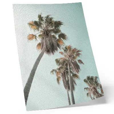 Foto su tela palme delicate con cielo blu esotico