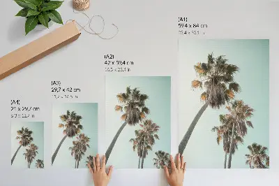 Foto su tela palme delicate con cielo blu esotico