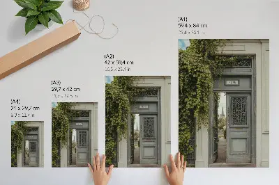 Poster porta antica ricoperta d'edera su un sentiero misterioso