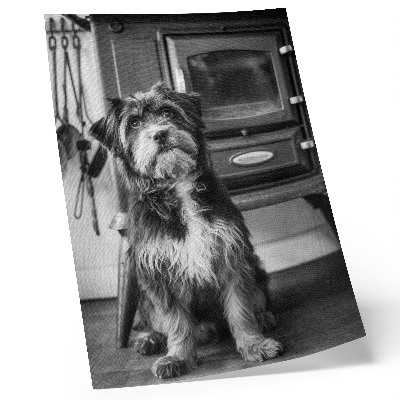 Poster Un tranquillo cane bianco e nero accanto a una vecchia stufa.