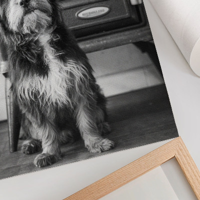 Poster Un tranquillo cane bianco e nero accanto a una vecchia stufa.