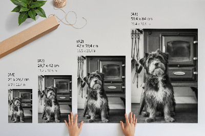 Poster Un tranquillo cane bianco e nero accanto a una vecchia stufa.
