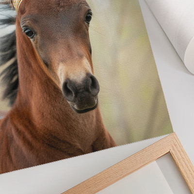 Poster Un cavallo con la corona su sfondo neutro
